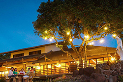 Amazing Spa Effects Couple enjoying a good massage from Orissa